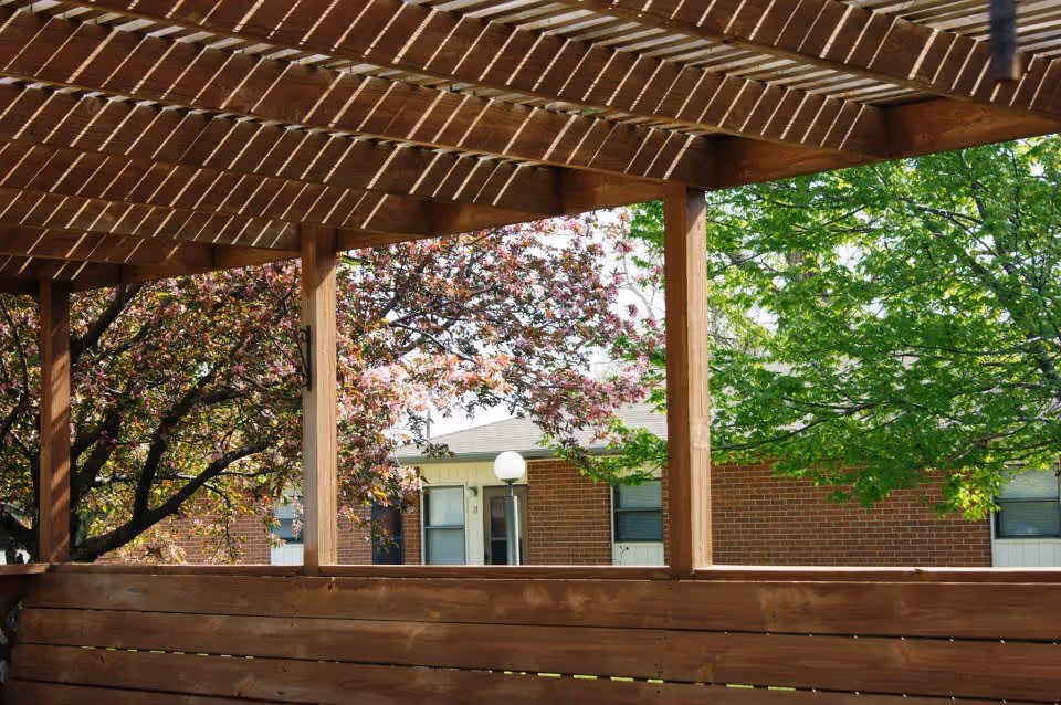 View through a wooden pergola structure showing blooming pink flowers on a tree and green leafy trees with a brick building and windows in the background.