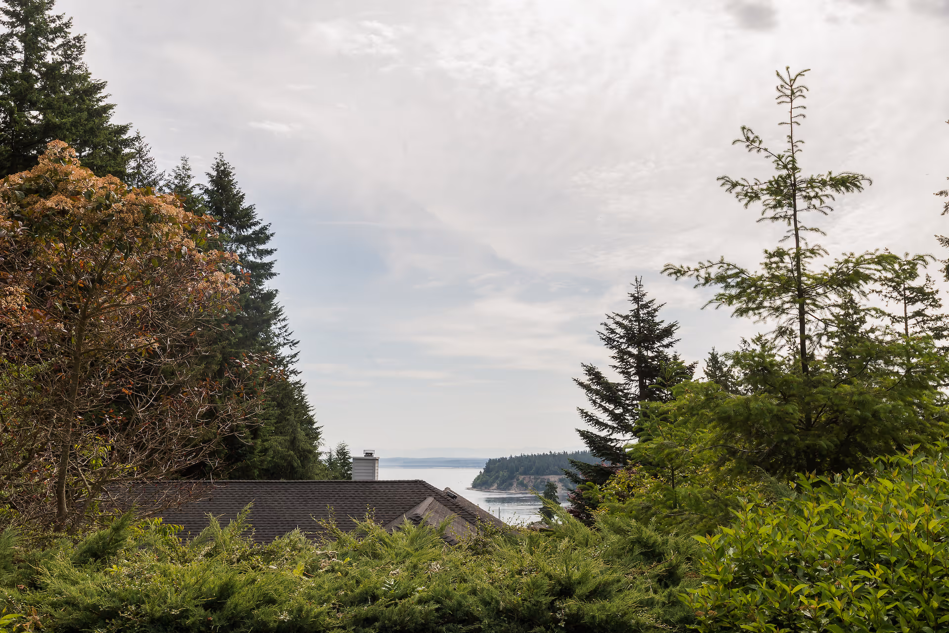 View of a scenic outdoor landscape featuring dense green trees and bushes in the foreground, a rooftop partially visible, and a body of water with a distant tree-covered shoreline under a cloudy sky.