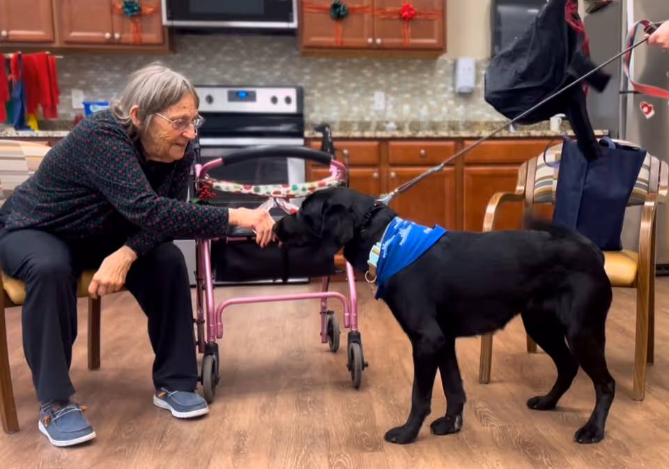 An elderly woman sitting on a chair in a kitchen area, reaching out to pet a black dog wearing a blue bandana. A pink walker is positioned behind the woman, and kitchen cabinets, a stove, and a microwave are visible in the background.