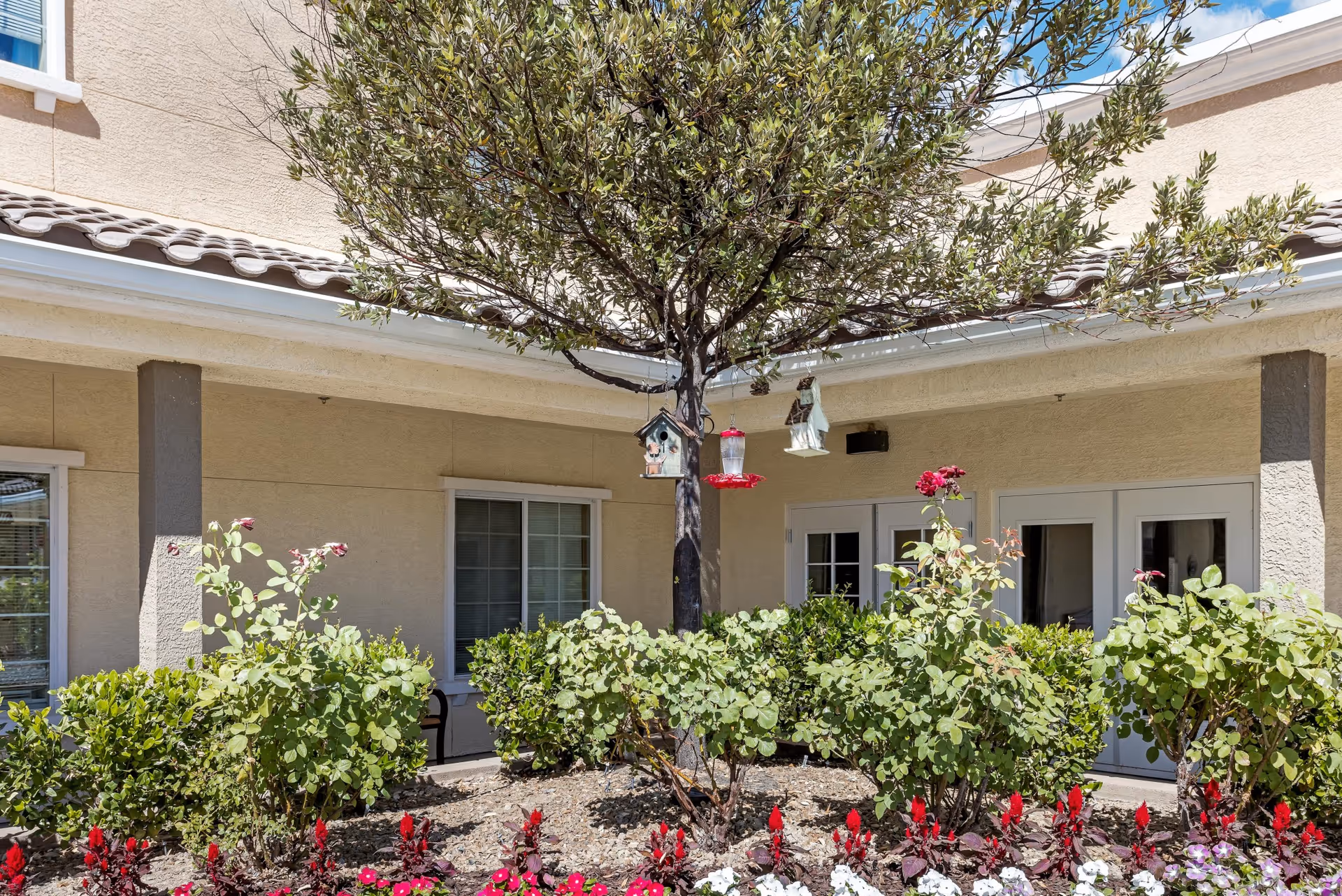 A landscaped courtyard with a small tree holding bird feeders, flowering shrubs, and the building's windows and doors.