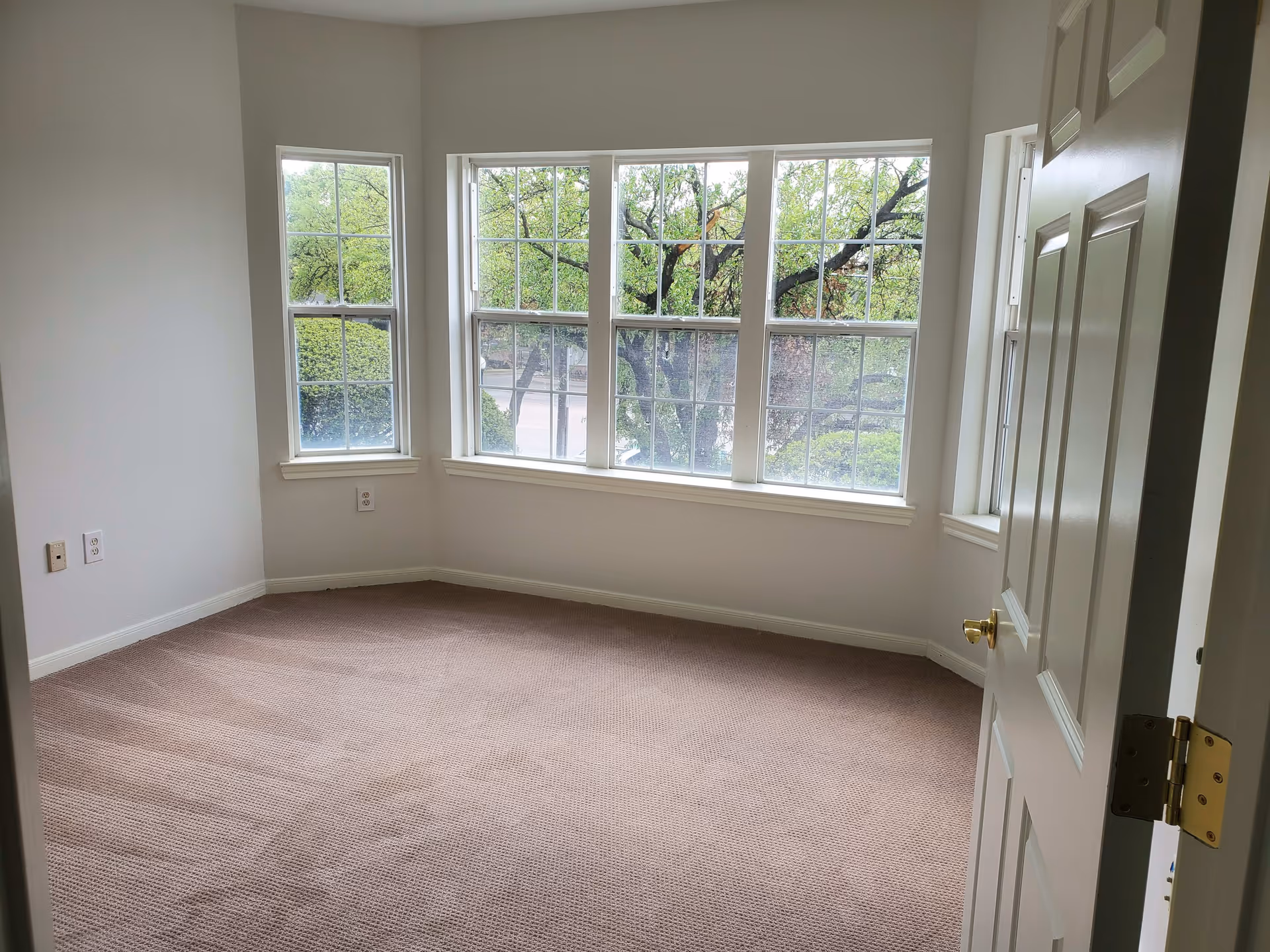 Empty room with beige carpet and white walls featuring a large set of windows with multiple panes, allowing natural light to enter and showing green trees outside. A white door with a brass handle is partially open on the right side.