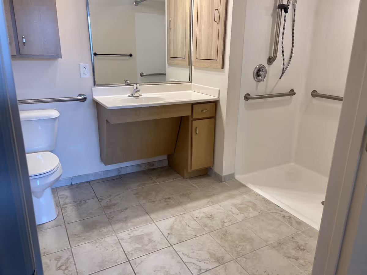 Accessible bathroom with toilet, vanity and mirror, grab bars, and a roll-in shower with a handheld showerhead.