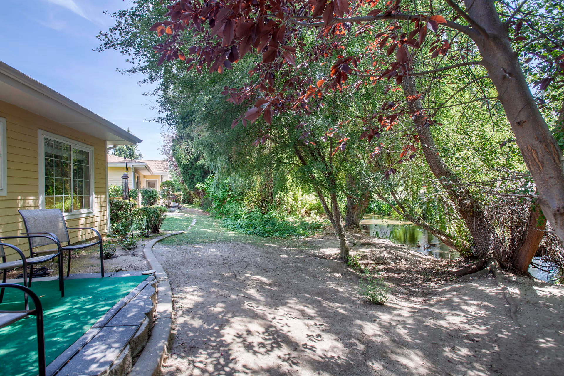A shaded dirt path beside a yellow building and patio chairs winds through trees toward a small pond.