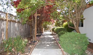 A shaded outdoor walkway lined with trees and bushes on both sides, with a wooden fence on the left and a building wall on the right. There is a bench along the path under the trees.