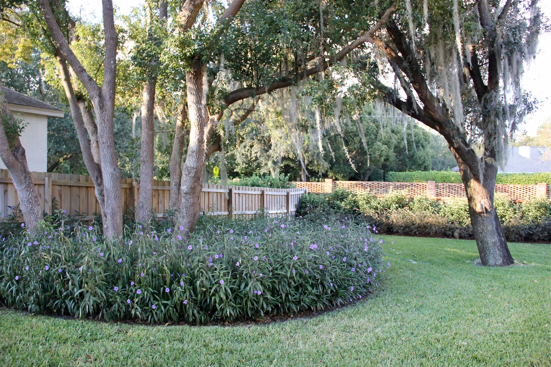 A landscaped outdoor garden area with several trees surrounded by a circular flower bed filled with green plants and small purple flowers. The garden is enclosed by a wooden fence and a brick wall, with a well-maintained grassy lawn.