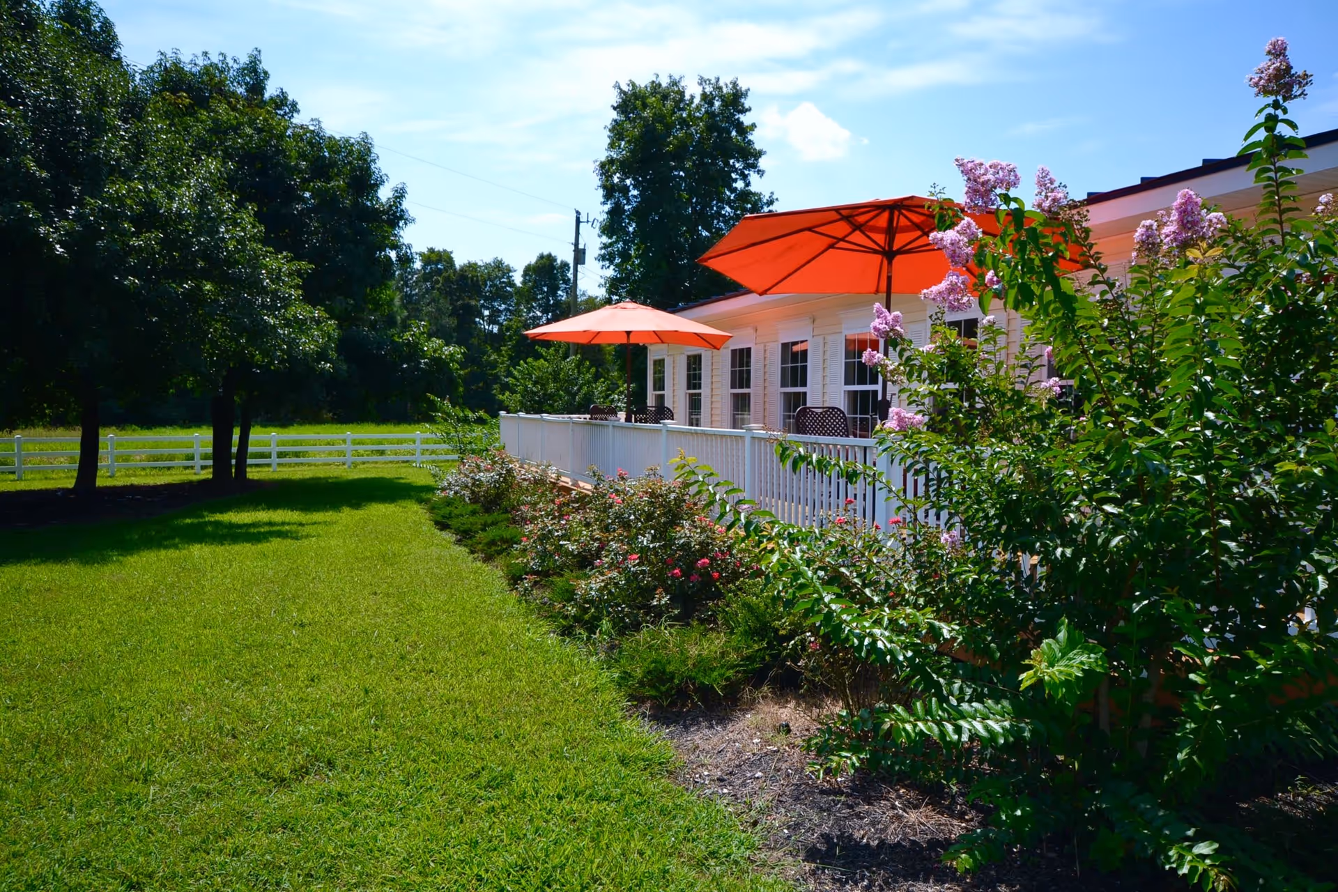 Photo 3 of Chesapeake Cottage Assisted Living
