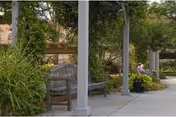 Benches under a pergola along a landscaped paved walkway with greenery and a person seated in the background.