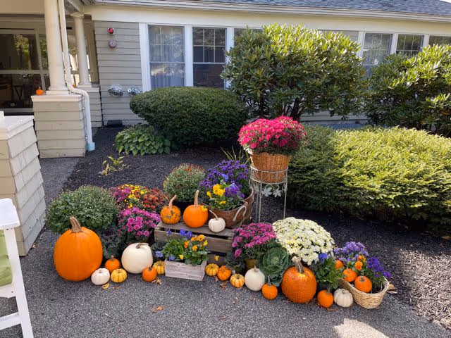 A colorful autumnal outdoor display featuring various pumpkins and gourds arranged around pots of vibrant flowers including chrysanthemums and pansies, set against a backdrop of green shrubs and the exterior wall of a building with windows.