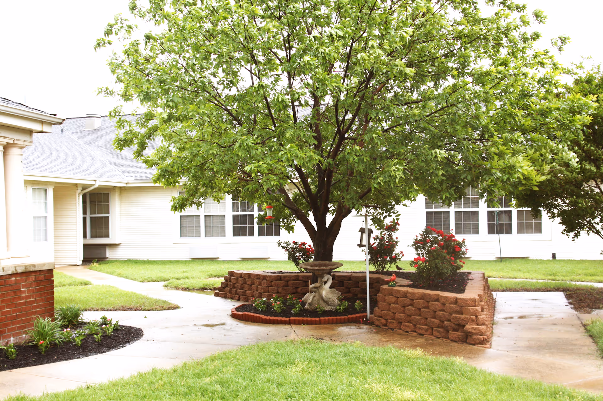 A courtyard area with a large leafy tree in the center surrounded by a raised brick flower bed with red flowers and a birdbath featuring swan sculptures. The courtyard is bordered by a paved walkway and green grass, with white buildings and windows in the background.
