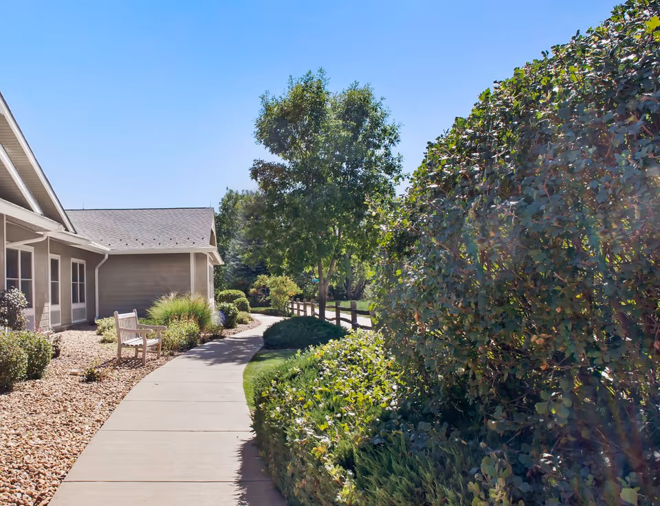 A sunny outdoor pathway at a senior living facility with a bench along the side, surrounded by bushes, trees, and landscaping with a building on the left.