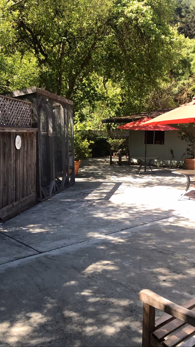 Outdoor patio area with concrete flooring, shaded by trees. There is a wooden fence on the left with a round thermometer attached, a screened enclosure, a table with a red umbrella, and some potted plants. A wooden bench is partially visible in the foreground.
