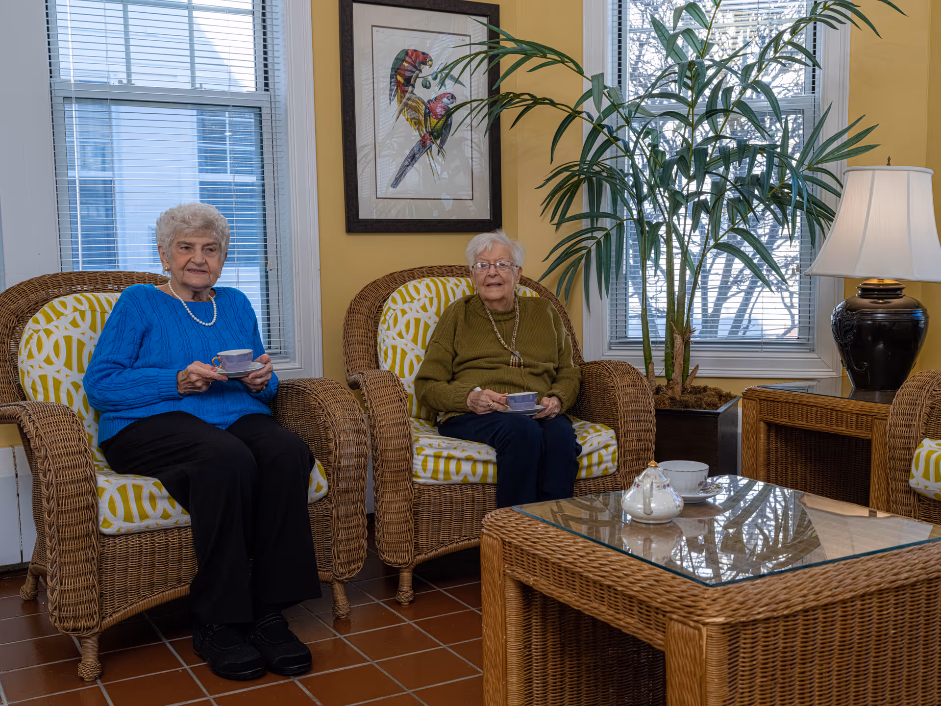 Two elderly women sitting in wicker armchairs with yellow patterned cushions in a sunlit room. They are holding teacups and saucers. Behind them are large windows with white blinds, a framed picture of colorful birds on the yellow wall, and a tall potted plant. A wicker coffee table with a glass top and a teapot is in front of them, and a table lamp with a white shade is on a side table to the right.