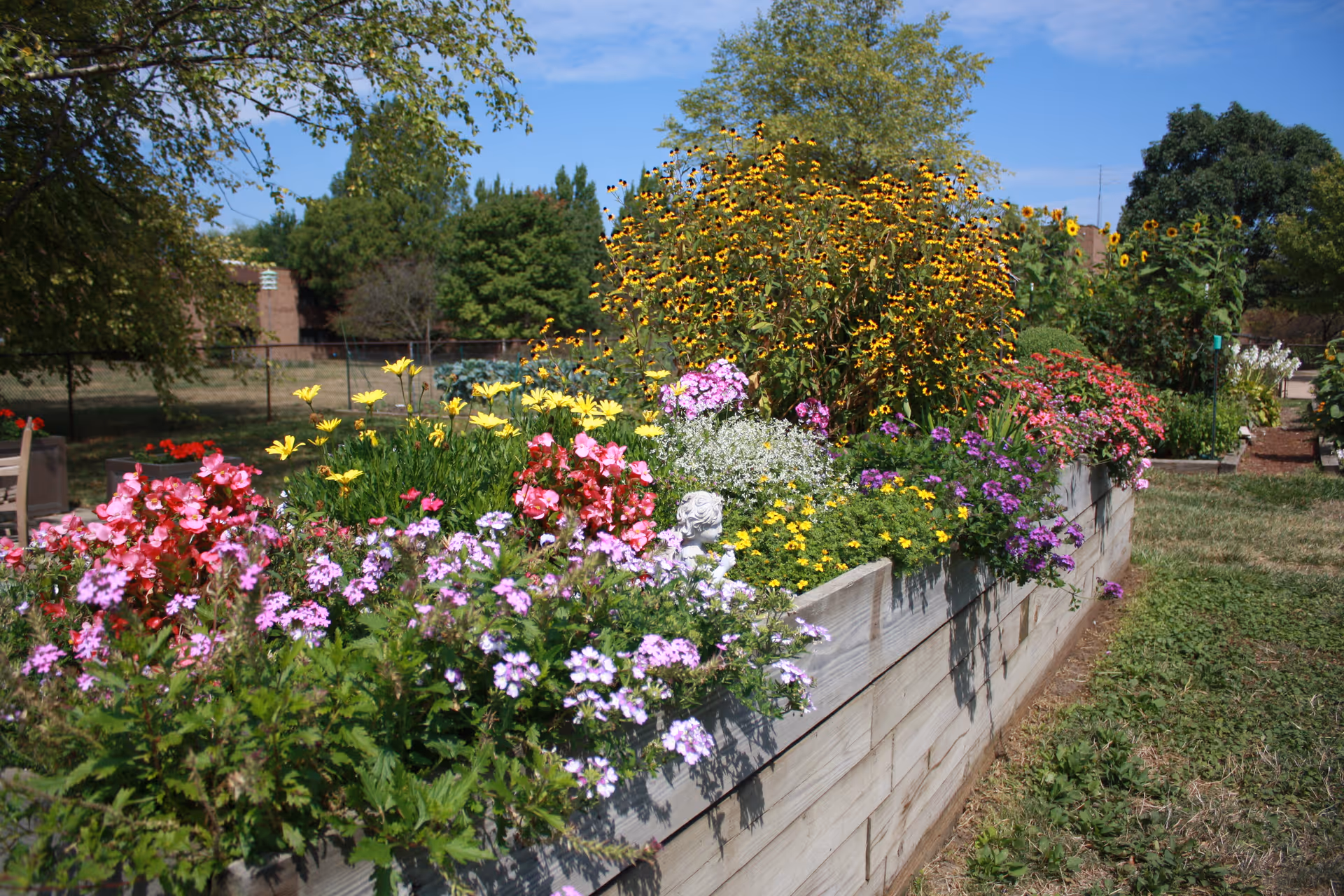 A raised wooden planter overflowing with colorful flowers in an outdoor garden with trees and a distant building under a blue sky.