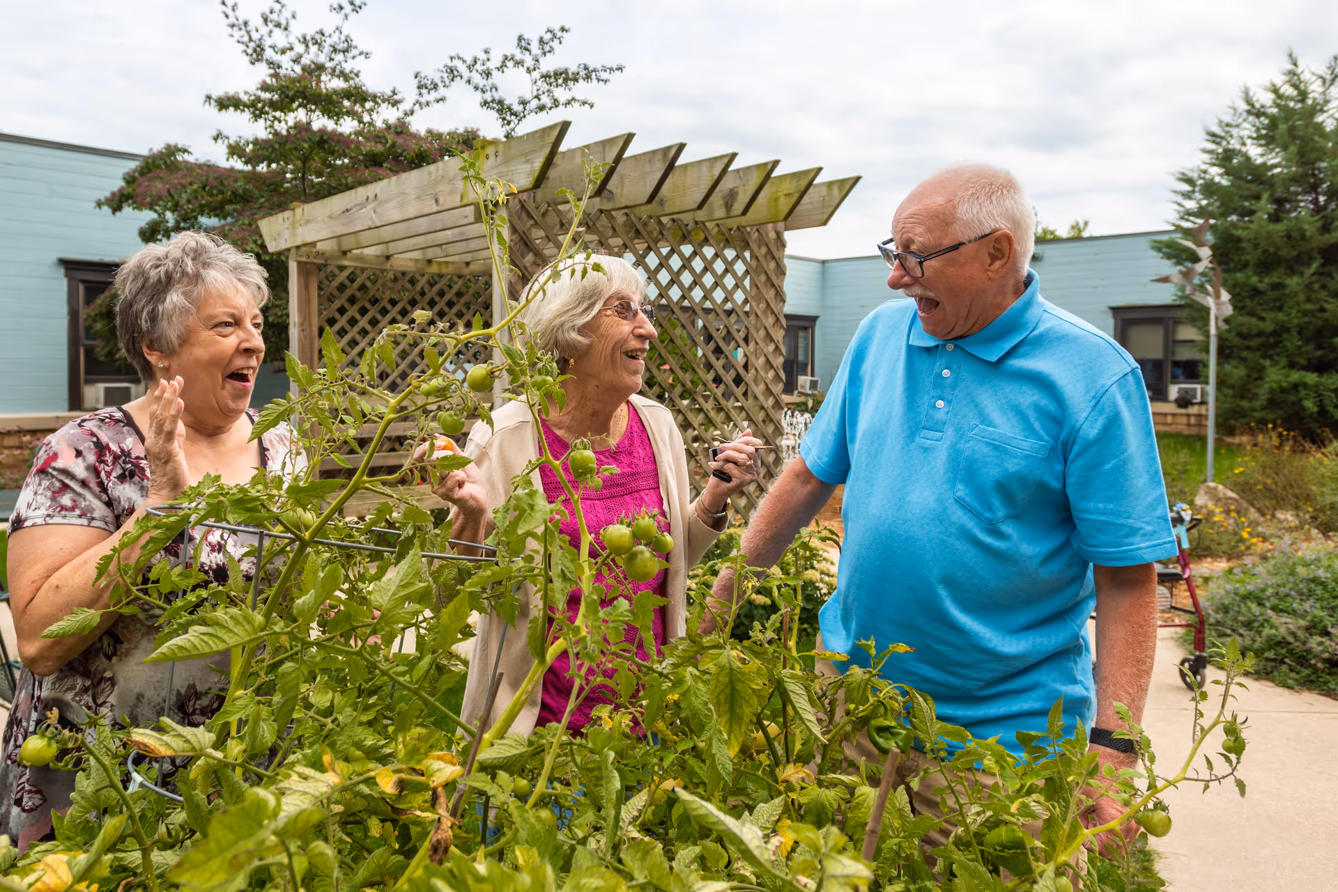 Three elderly people, two women and one man, are standing outdoors near a garden with green tomato plants. They appear to be happily engaged in conversation and laughing. Behind them is a wooden pergola and a light blue building with windows.