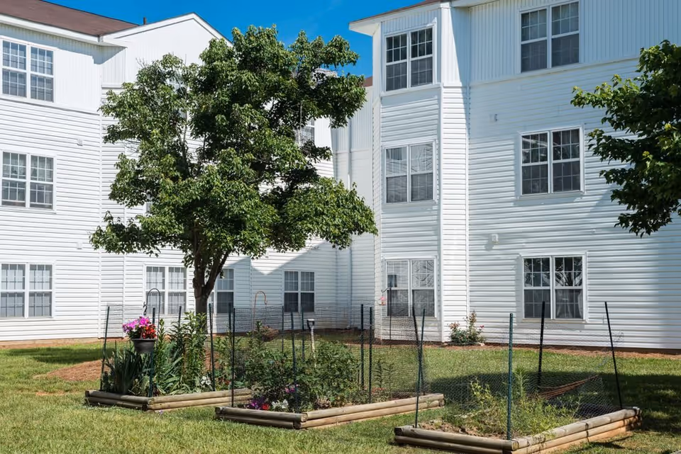Outdoor garden area with raised wooden garden beds containing plants and flowers, a tree providing shade, and a white multi-story building with many windows in the background under a clear blue sky.