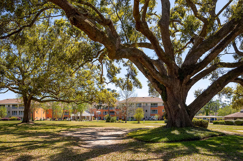 Large mature trees with sprawling branches in a grassy outdoor area in front of a multi-story senior living facility building under a clear blue sky.