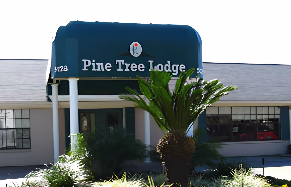 Exterior view of Pine Tree Lodge building with a green awning displaying the facility name. The building has large windows and is surrounded by greenery including a palm-like plant in the foreground.