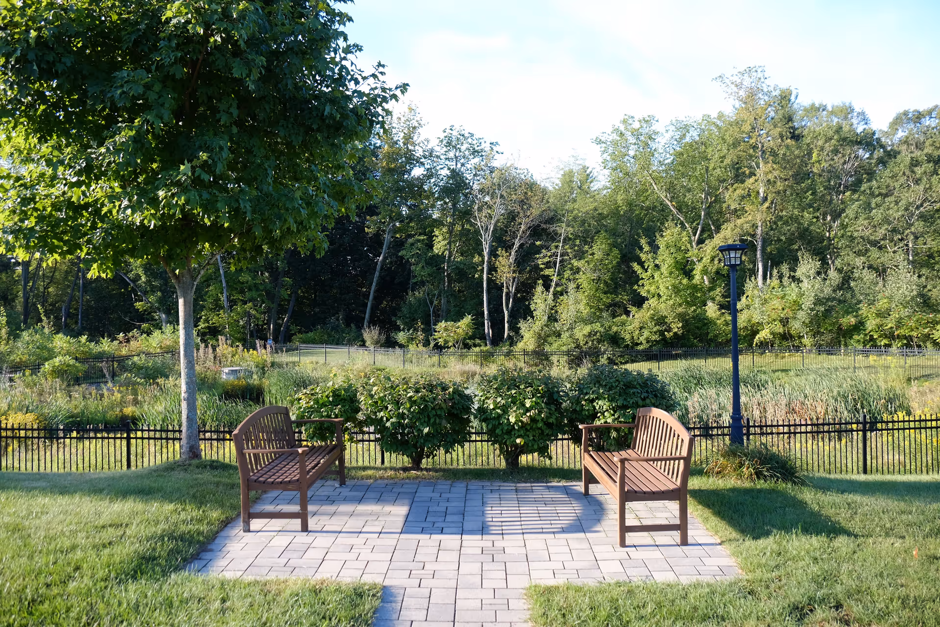 Two wooden benches facing each other on a paved patio area surrounded by grass, with a tree on the left, bushes behind the benches, a black metal fence, and a lamppost on the right. In the background, there is a dense area of trees and greenery under a clear sky.