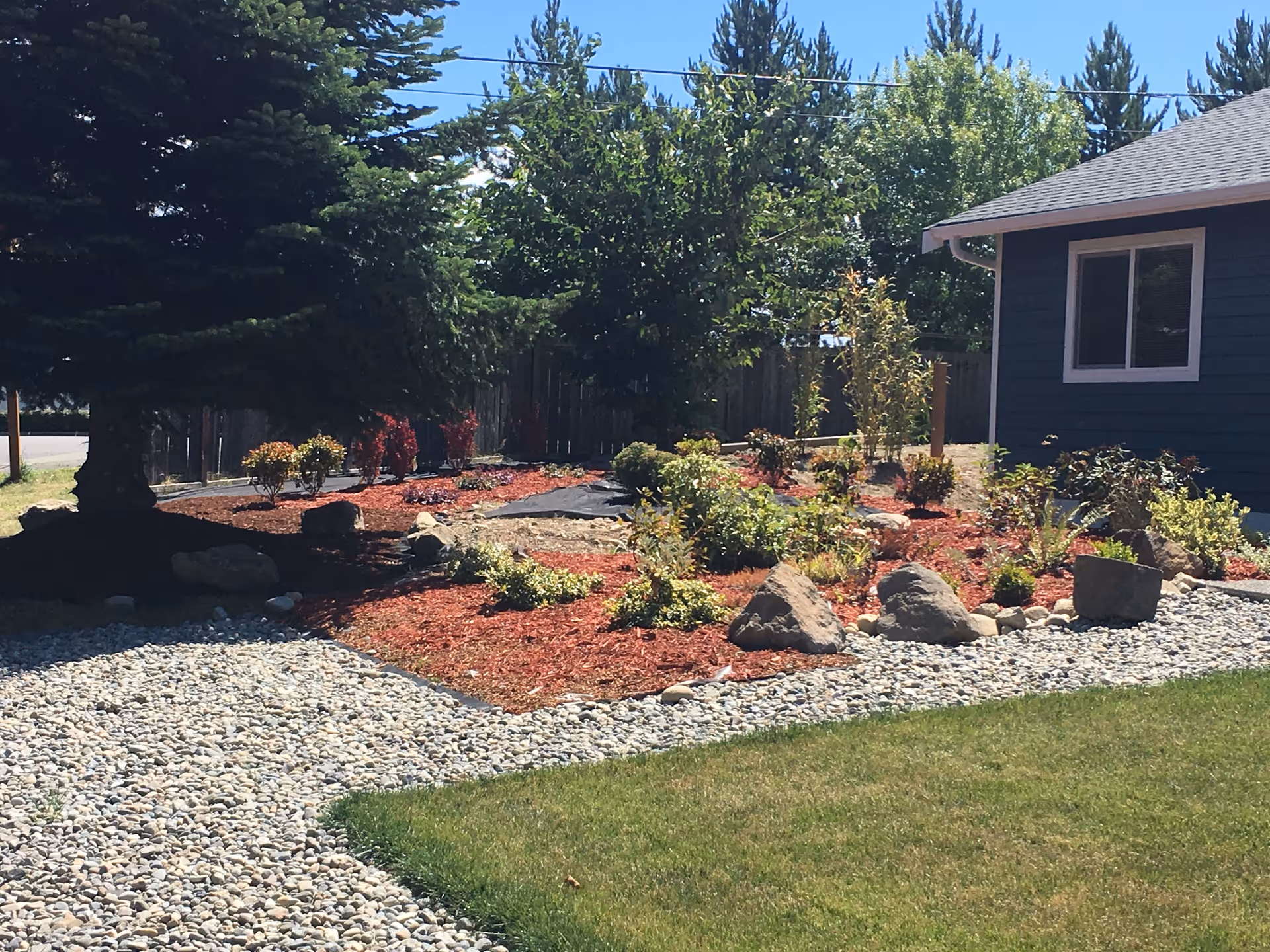A landscaped outdoor area with a variety of small bushes and plants surrounded by red mulch and large rocks. There is a gravel path on the left side and a green lawn in the foreground. A blue building with a window is visible on the right side, and tall trees and a wooden fence are in the background under a clear blue sky.