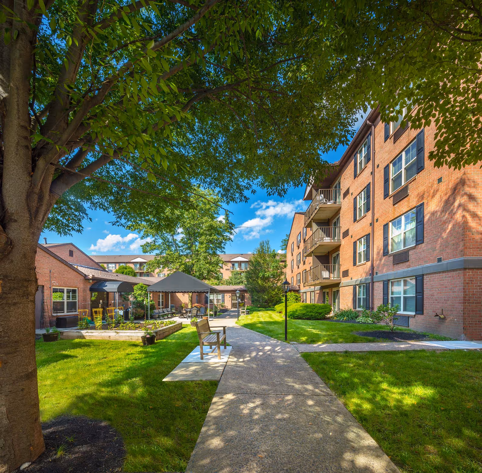 Outdoor courtyard area at Paul's Run facility with a large tree providing shade, a paved walkway, benches, green grass, and brick residential buildings with balconies under a blue sky with some clouds.
