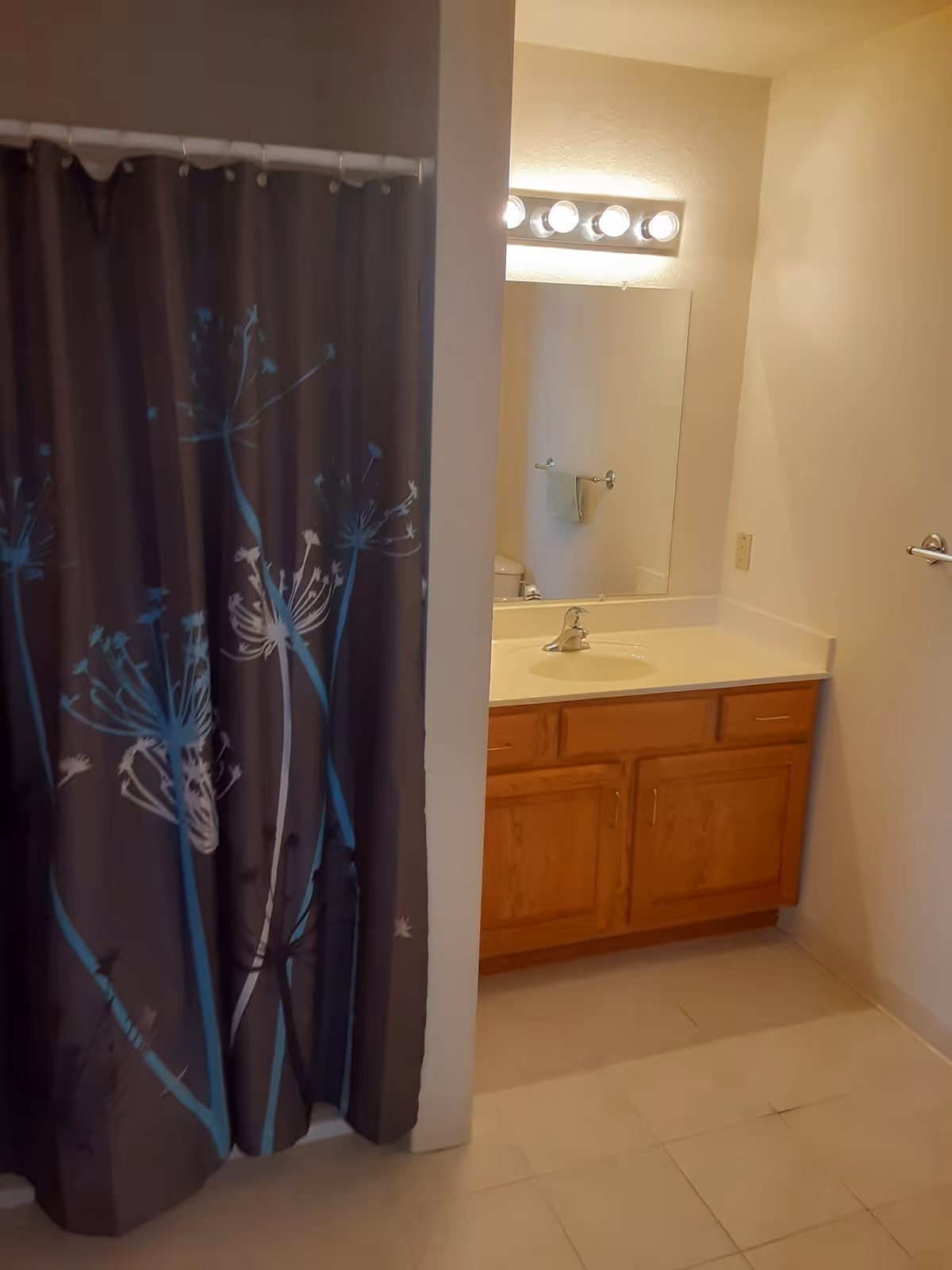 Bathroom showing a shower with a dark floral shower curtain, a vanity with sink and mirror under lit vanity lights, and a tiled floor.