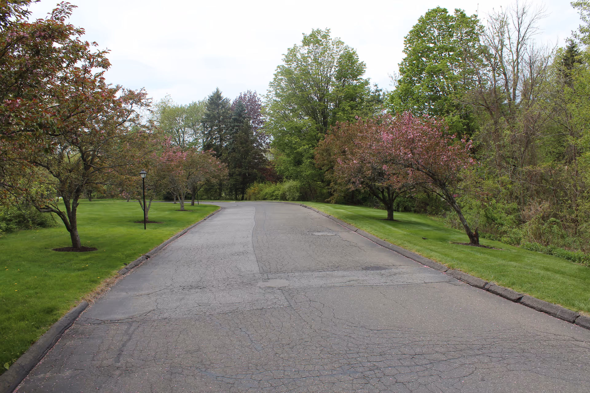 A paved road lined with green grass and trees on both sides, some trees have pink blossoms. The sky is overcast and the area appears to be a peaceful outdoor setting.