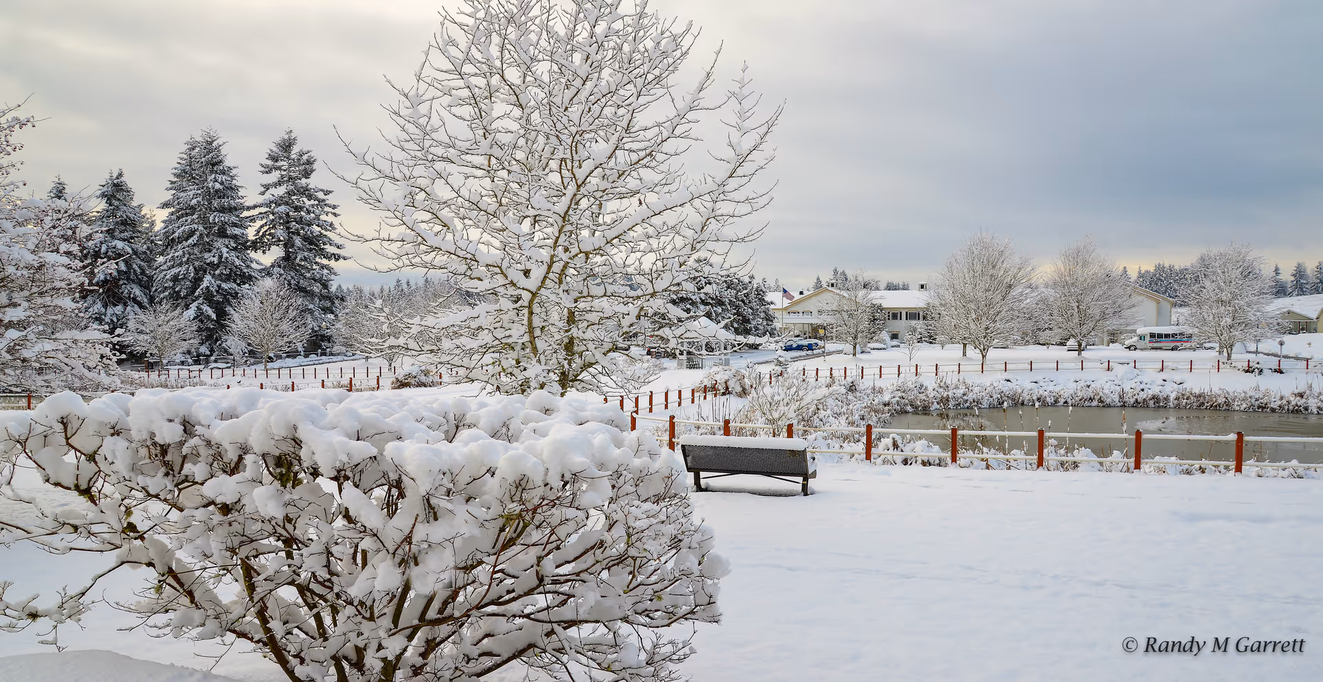 Snow-covered shrubs, trees, a bench and a pond with buildings in the background.