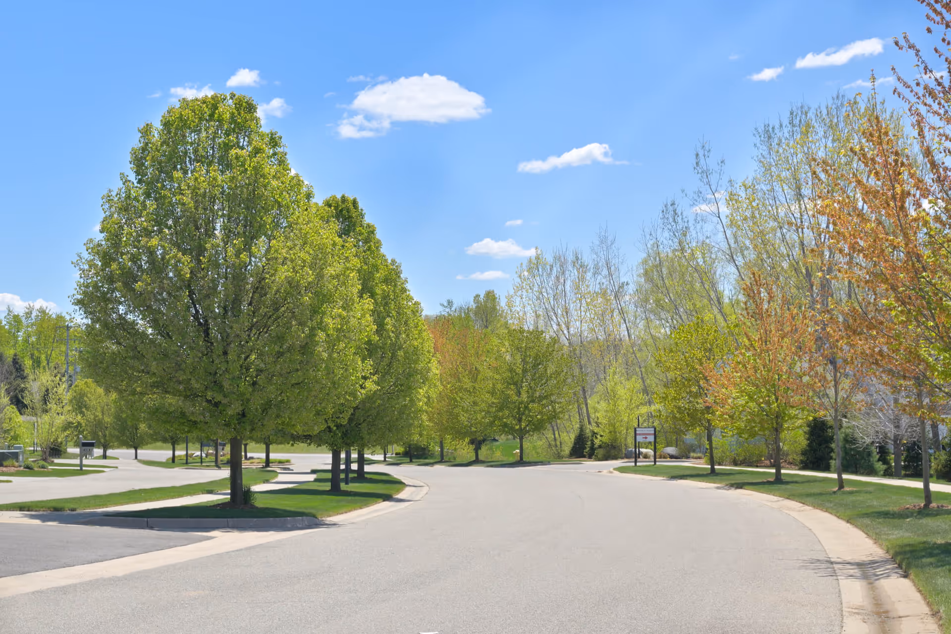 A quiet, curved road lined with green trees on both sides under a clear blue sky with a few scattered clouds.