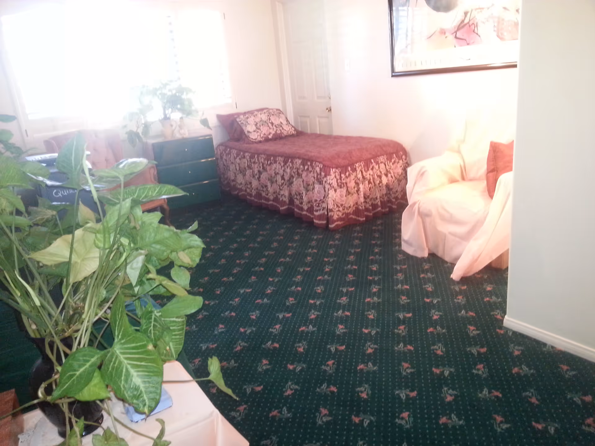 A small bedroom with a single bed covered in a floral bedspread and matching pillow. There is a green dresser next to the bed, a white armchair with a red pillow, and several green plants in the foreground. The room has a green carpet with a floral pattern and a window with white blinds letting in bright light.