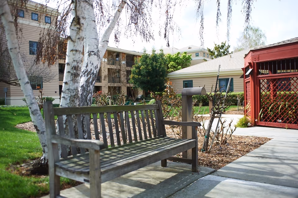 Wooden bench in a landscaped courtyard with trees, a walkway, and residential buildings in the background.