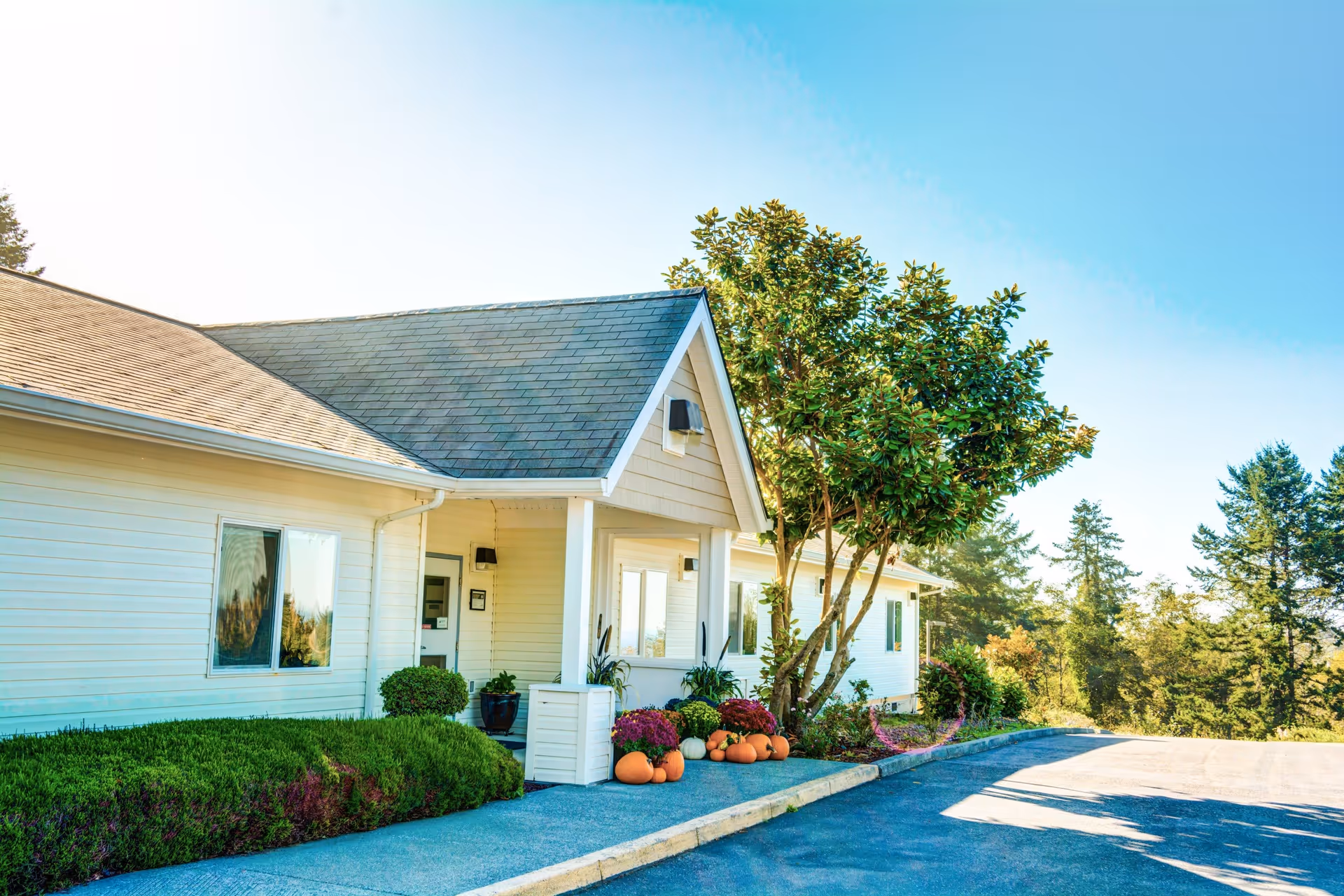 Exterior view of a single-story building with white siding and a gray shingled roof under a clear blue sky. The entrance is decorated with pumpkins and potted plants, and there is a tree and shrubbery near the building. A paved driveway is visible to the right.
