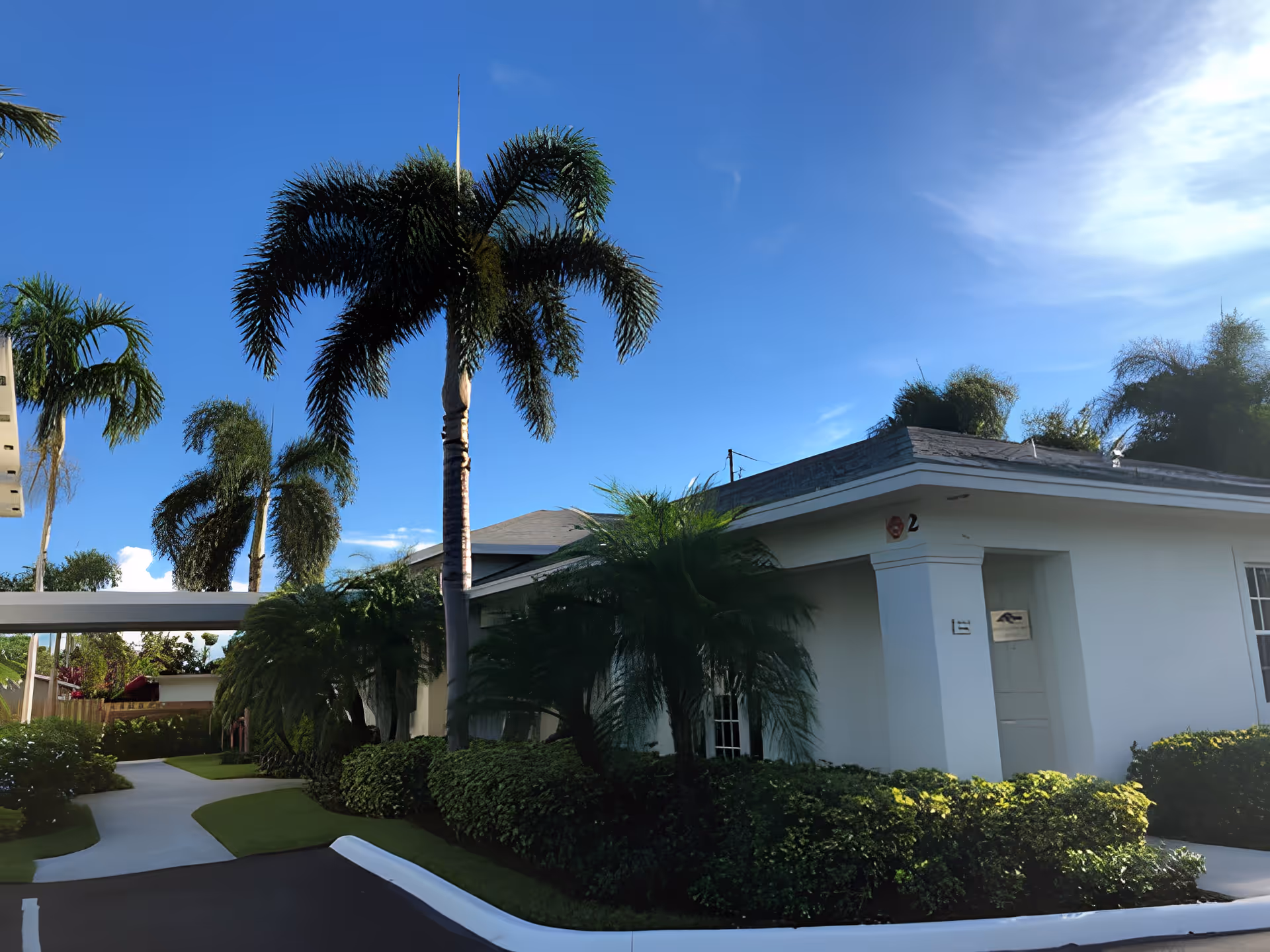 Single-story white building entrance with palm trees, trimmed hedges, and a walkway under a blue sky.