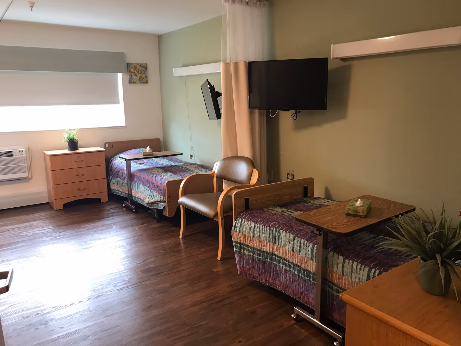 A room with two single beds each covered with a multicolored striped quilt. Each bed has an overbed table, one with a box of tissues. There is a wooden chair between the beds, a wall-mounted TV, a window with a white blind, a wooden dresser with a small potted plant, and a green wall behind one bed. The floor is wooden.