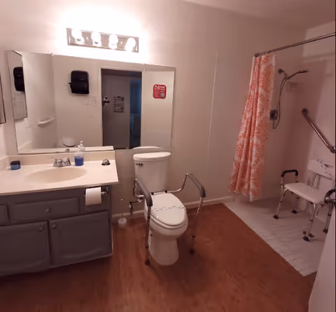 Bathroom with a sink and countertop on the left, a toilet with safety rails in the center, and a walk-in shower with a shower chair and grab bars on the right. The shower has a white and orange patterned curtain. There is a large mirror above the sink and toilet, and the floor is wood-like with a tiled shower area.