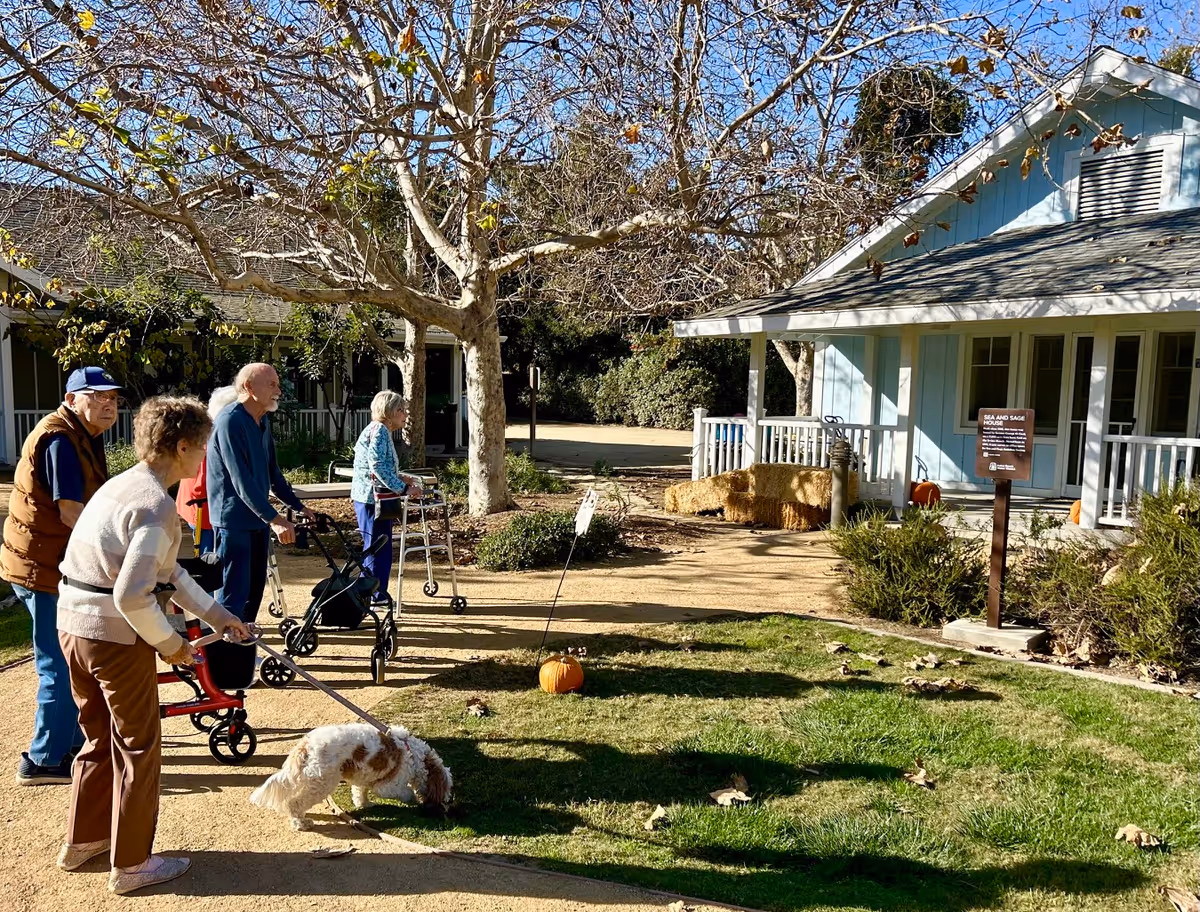 A group of elderly people, some using walkers, are outdoors on a sunny day near a light blue building with a porch. One person is holding a small dog on a leash. There are leafless trees and some pumpkins on the ground, suggesting a fall setting.