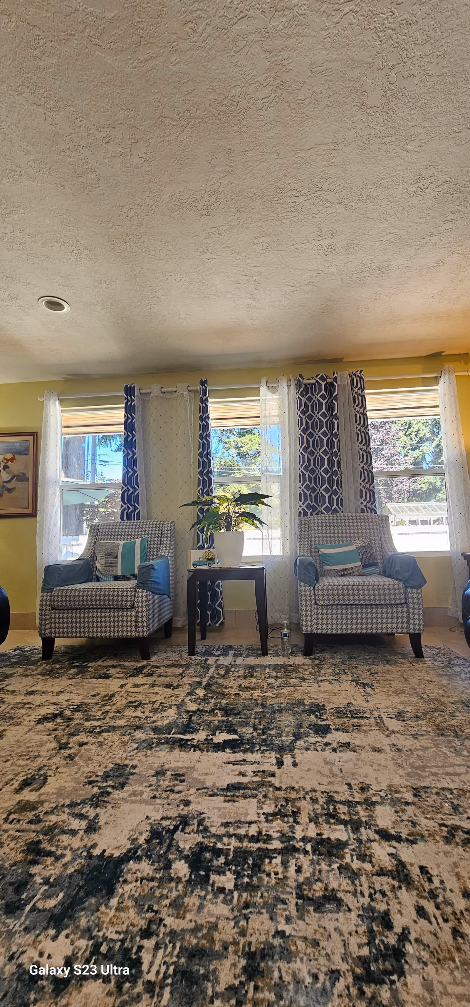 A cozy living room area with two patterned armchairs featuring blue and white upholstery, each with a decorative pillow and a blue throw on the armrests. Between the chairs is a small dark wooden table with a white potted plant and a small decorative item. Behind the chairs are three large windows with sheer white and blue patterned curtains, allowing natural light to brighten the room. The floor is covered with a large area rug in shades of beige, blue, and gray with an abstract pattern. A framed painting is partially visible on the left wall.