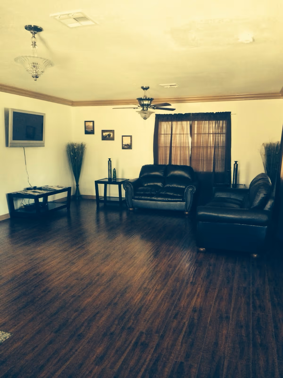 A living room with dark wooden flooring, two black leather sofas, a ceiling fan with light, a wall-mounted TV, two side tables with decorative items, a tall vase with dried plants, three framed pictures on the wall, and brown curtains covering a window.