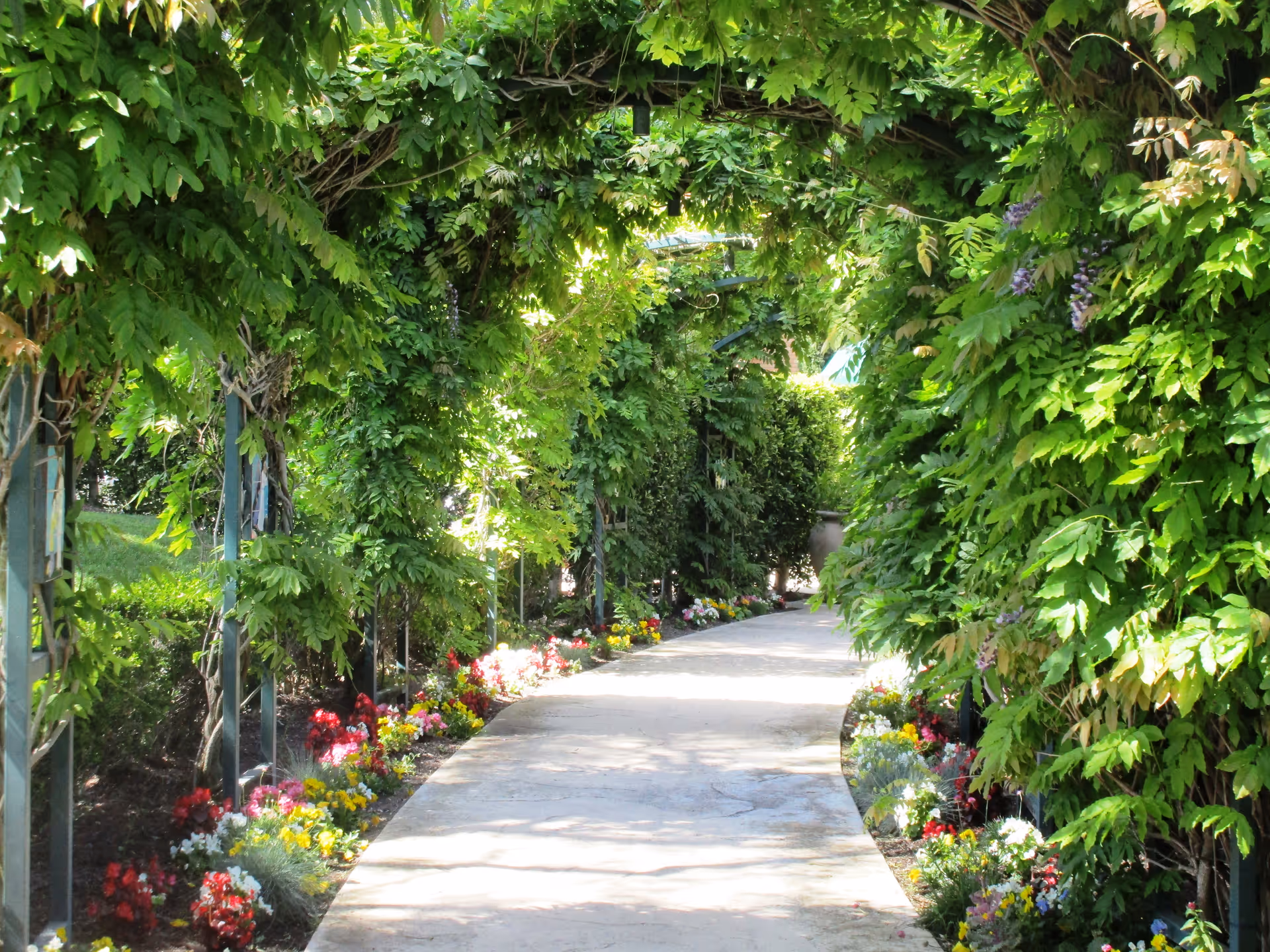 A shaded garden pathway covered by a lush green leafy archway with colorful flowers lining both sides of the concrete path.