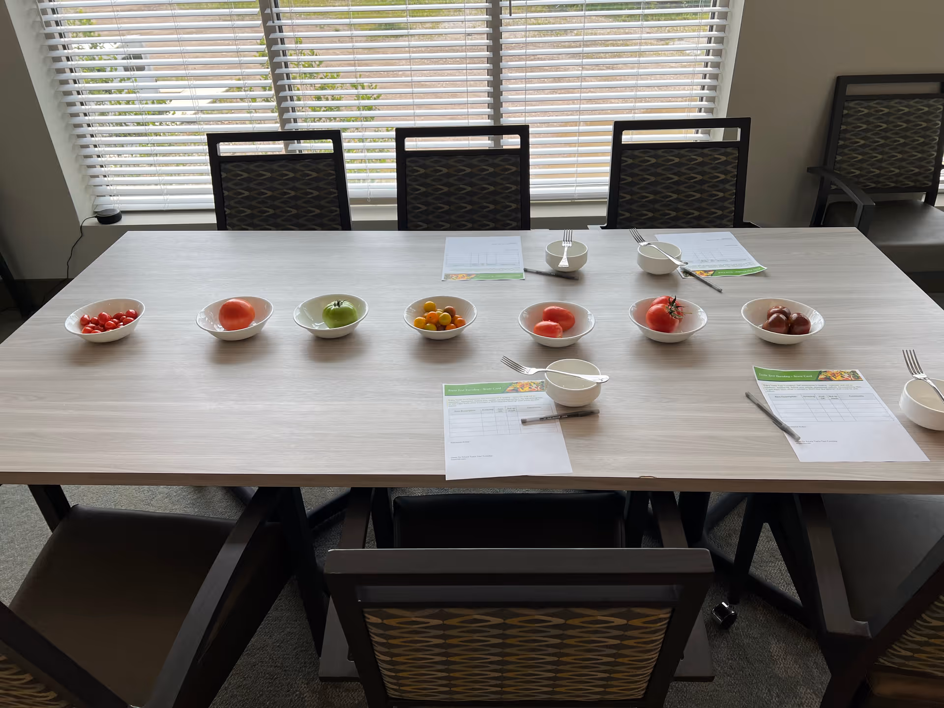 A rectangular table with eight chairs around it, set with small bowls containing different types of tomatoes. Each place setting has a small bowl, a fork, a pen, and a paper form. The table is positioned in front of a window with blinds partially open, letting in natural light.