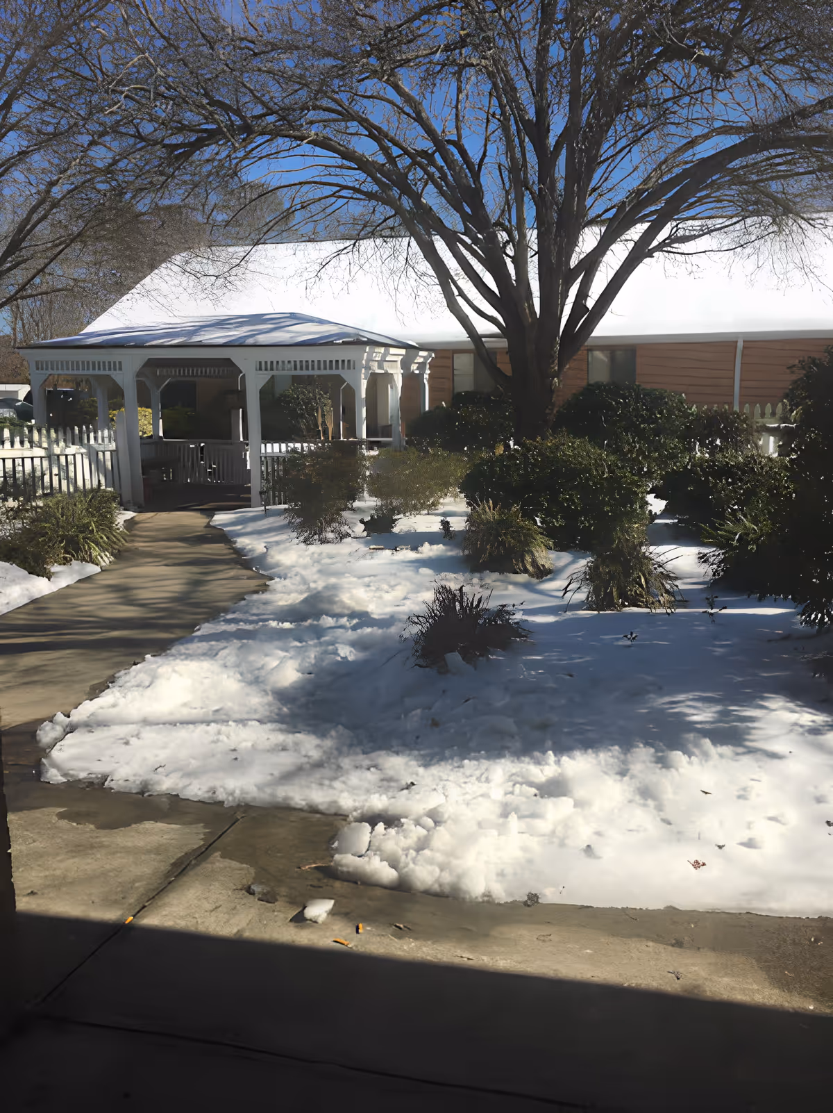 Outdoor view of a garden area covered with snow, featuring a large leafless tree, green bushes, a concrete pathway, and a white gazebo attached to a building under a clear blue sky.