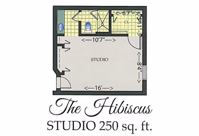 Floor plan of a studio apartment named The Hibiscus, measuring 250 square feet. The layout includes a main studio area measuring 16 feet by 10 feet 7 inches, a bathroom with a toilet and sink, a shower, and a closet space.