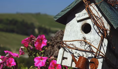 A decorative birdhouse with a 'WELCOME' sign surrounded by pink flowers against a grassy hillside.