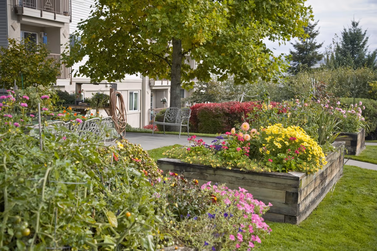 Outdoor garden area at The Lakeshore featuring raised wooden flower beds filled with colorful flowers and plants, a large tree providing shade, metal benches, and a building in the background.
