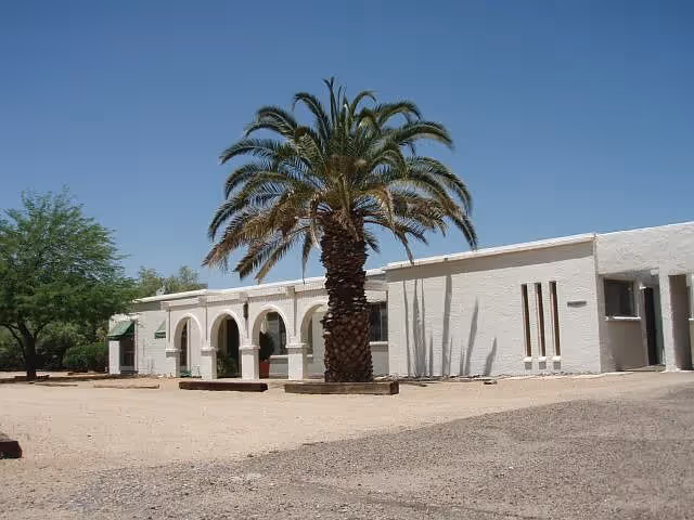 Single-story white stucco building with arched entryways and a large palm tree in front under a clear blue sky.