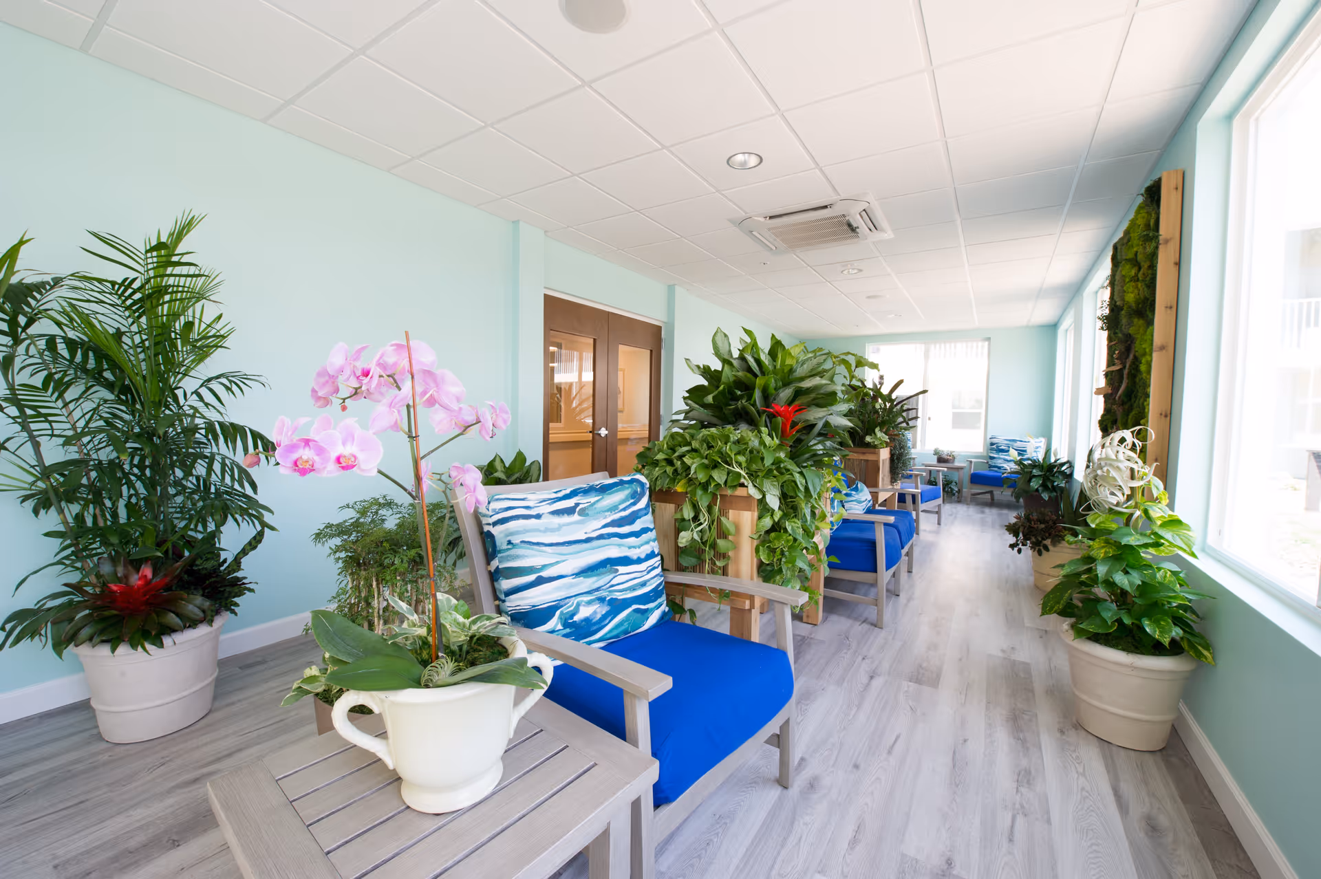 A bright indoor seating area with multiple blue cushioned chairs and various green plants in pots arranged along the sides. The walls are painted light blue, and large windows on the right side let in natural light. The floor is light wood, and there are double wooden doors at the end of the hallway.