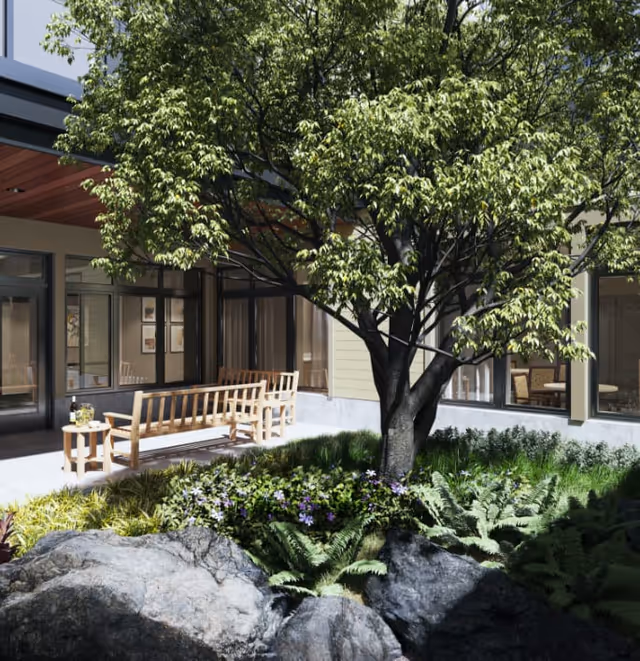 A shaded courtyard featuring a large tree, rock and fern planting bed and wooden benches outside a glass-walled building.