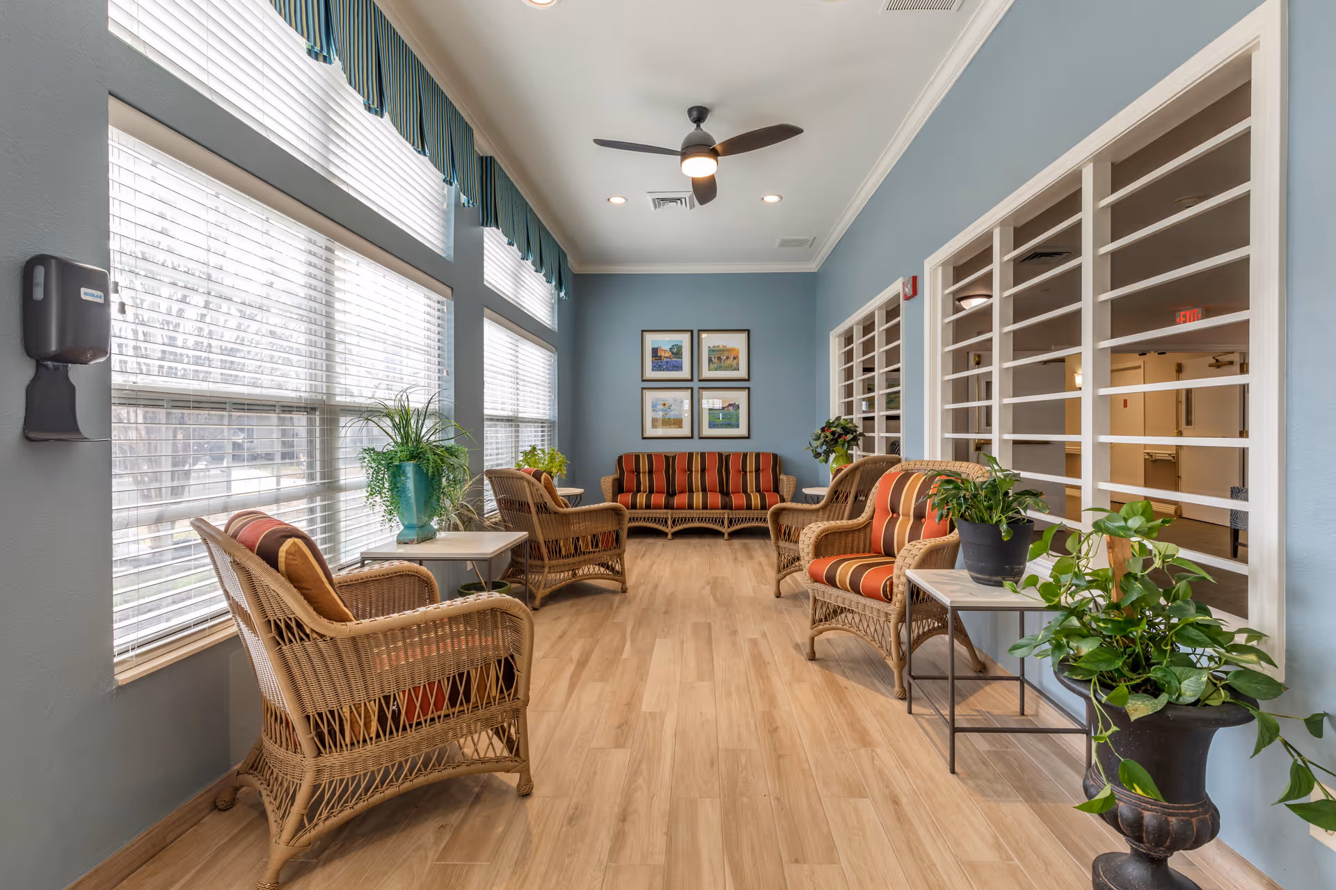 A bright and cozy sitting area with wicker furniture featuring striped cushions, several potted plants on tables and the floor, large windows with blinds and valances letting in natural light, light blue walls with four framed pictures, and a ceiling fan with light.