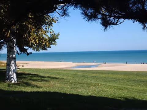 View of a sandy beach and calm blue water seen through trees with green grass in the foreground under a clear blue sky.
