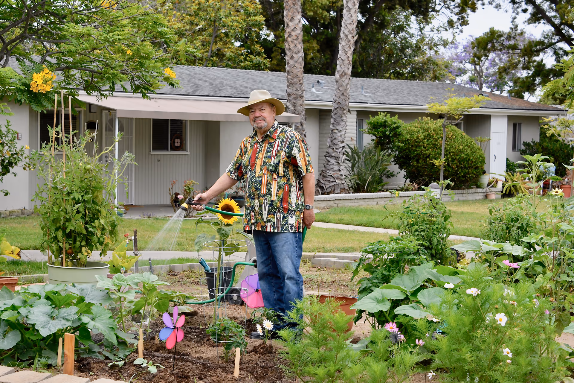 An elderly man wearing a hat and colorful shirt is watering plants in a garden with various green plants, flowers, and a sunflower. Behind him is a single-story building with a gray roof and beige walls, surrounded by trees and shrubs.
