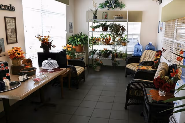 A cozy indoor sitting area with wicker chairs featuring striped cushions, a table with decorative items including a cake stand, and multiple potted plants on shelves and around the room. The space is well-lit by large windows with blinds.